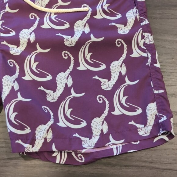 Roosevelt Del Mar Republic Swim Trunks Seahorse Dolphin Print - Picture 4 of 12